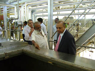 Plant at Dobaspet