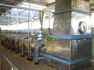 Plant at Dobaspet